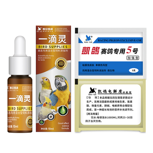 鹦鹉药单眼伤风凯鸽5号专用眼药水一滴灵牡丹玄凤五号专用常备药