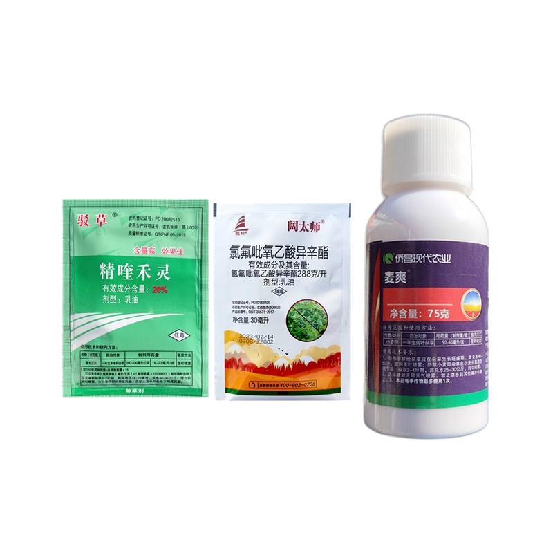 节节草专杀笔管草专用除草剂烂根