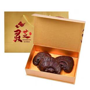 灵芝整朵赤灵芝礼盒 整支紫灵芝节日送礼长辈泡酒