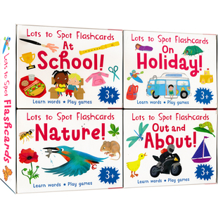 Lots to Spot Flashcards-My Busy Day 忙碌的一天4册盒装  英语启蒙闪卡 培养数感 儿童词汇 英文原版进口图书