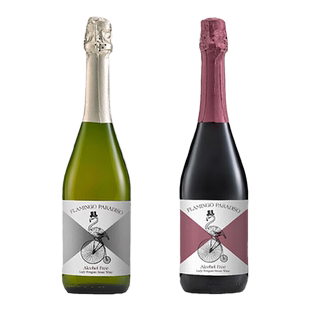 沃迪安无醇起泡酒苹果汁无醇饮料香梨树莓石榴味法国原瓶原装进口