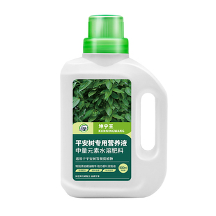 平安树专用植物营养液治黄叶干尖枯黄烂根绿植盆栽专用肥催长促绿