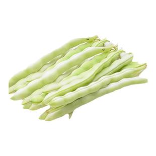 长胜将军 九粒白芸豆种子豆角架豆四季豆种蔬菜春季秋季耐寒耐热