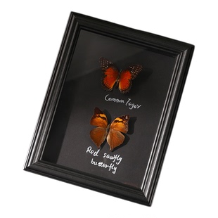 蝴蝶展翅标本展示框摆台昆虫收纳盒手工diy收藏5 6寸立体玻璃相框
