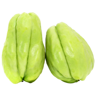 佛手瓜种瓜种苗种子苗种籽带芽新鲜发芽福寿瓜苗蔬菜苗孑秧苗带土