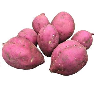 2026年偏粉海南澄迈沙地桥头富硒地瓜板栗味大红薯新鲜现挖烤番薯