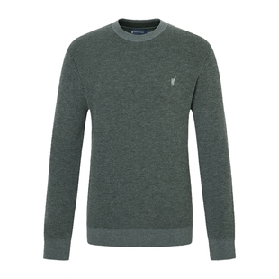 【100%绵羊毛】POLOWALK男式圆领羊毛衫2025冬季新品套头打底衫男