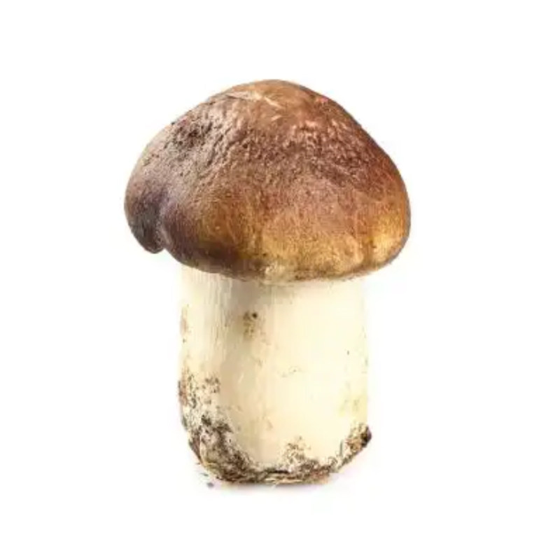 云南生态姬松茸菌片干片日晒顺丰