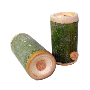 新鲜竹筒存钱罐网红超大楠竹竹制硬币储蓄罐成人儿童只进不出创意