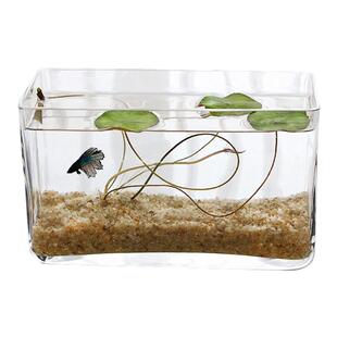 美人鱼高白玻璃鱼缸长方形桌面小型鱼缸热带鱼缸加厚一体缸斗鱼缸