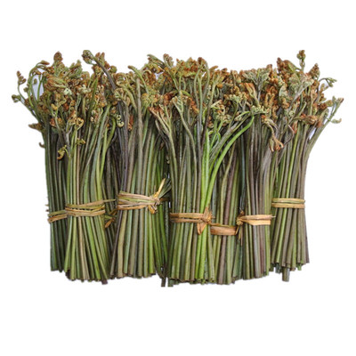 贵州特产高山蕨菜甜蕨菜