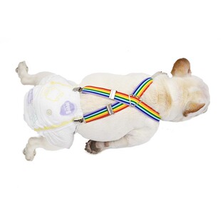 宠物背带夹狗狗纸尿裤狗狗生理裤尿不湿固定夹子纸尿裤小狗月经裤