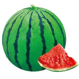 中科冰糖麒麟西瓜种子8424懒汉甜王红玉西瓜种籽春四季蔬菜种孑苗