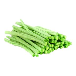 特长豇豆种籽白不老豆角种子苗大全四季豆种蔬菜孑菜苗红高产秧苗