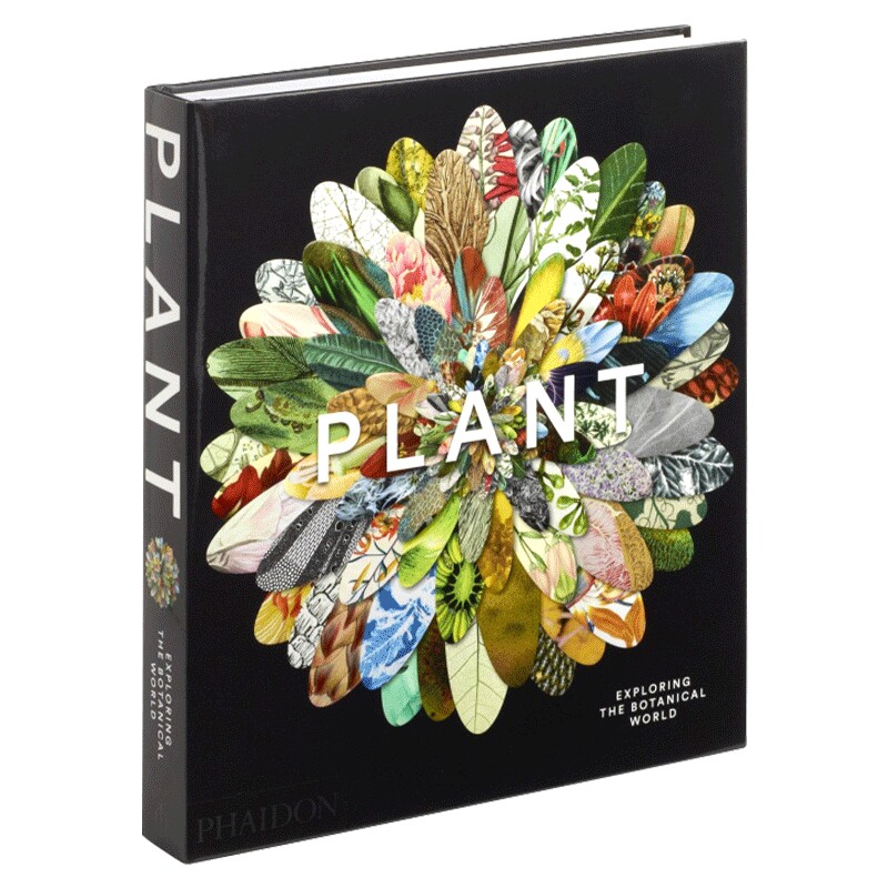 植物 探索植物学世界 英文原版 精装 Plant Exploring the Botanical World 家居与园艺 英文版进口原版英语书籍儿童外文书