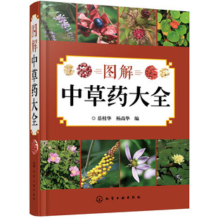图解中草药大全 中医入门中草药大全书籍药材植物彩图中药大全 中医养生保健大全中草药识别百科全书 本草纲目中草药识别参考书籍