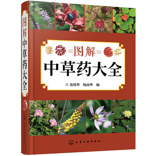 图解中草药大全 中医入门中草药大全书籍药材植物彩图中药大全 中医养生保健大全中草药识别百科全书 本草纲目中草药识别参考书籍