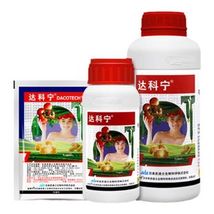 日本 达科宁 40%百菌清 番茄黄瓜霜霉病疫病叶霉叶斑病农药杀菌剂
