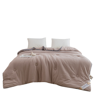 大豆纤维被子冬被棉被加厚保暖春秋被空调被冬季学生宿舍单人被芯