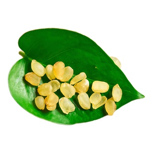 云南正品皂角米1000g天然食用商用干货另特级野生桃胶雪燕银耳羹