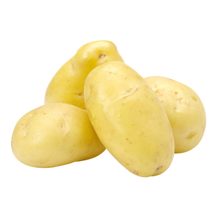 原种高产黄皮黄心老品种浙江高产大土豆种原种种籽孑种子马铃薯种