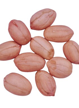 手剥新晒干去壳花生仁农家生花生