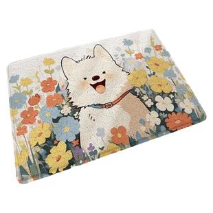 大江地垫入户门脚垫耐脏耐磨卡通门垫大门口进门地毯家用丝圈垫子