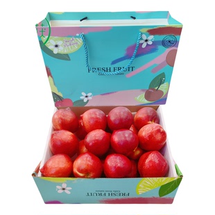 2025年北京新品种油桃新鲜桃子水果当季现摘新桃脆甜包邮软糯多汁