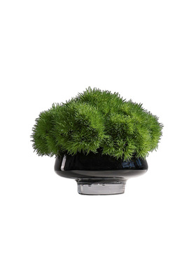 妖及现代简约玻璃仿真花瓶