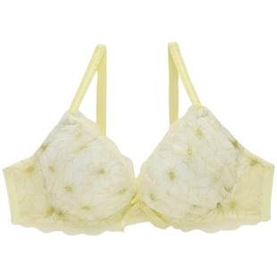 【买文胸送内裤】Risa Magli聚拢文胸1型大圆盘侧收浅杯0鸡心821