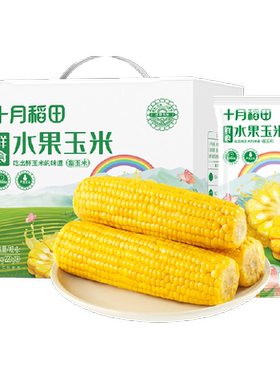 十月稻田开袋即食水果玉米