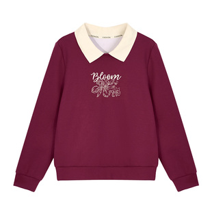 春秋爆款翻领卫衣女2026年新款时尚洋气女装正肩显瘦无帽套头上衣