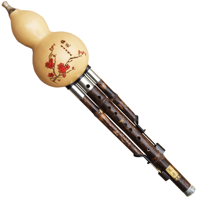 策音九孔葫芦丝可转七孔成人演奏