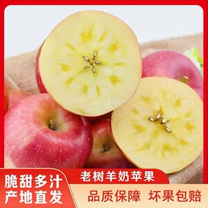 【坏果包赔】山西爆汁羊奶苹果冰糖心丑苹果新鲜现摘脆甜多汁鲜果