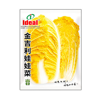理想金吉利娃娃菜种籽黄心高产小白菜种子秋冬种植耐寒蔬菜种孑