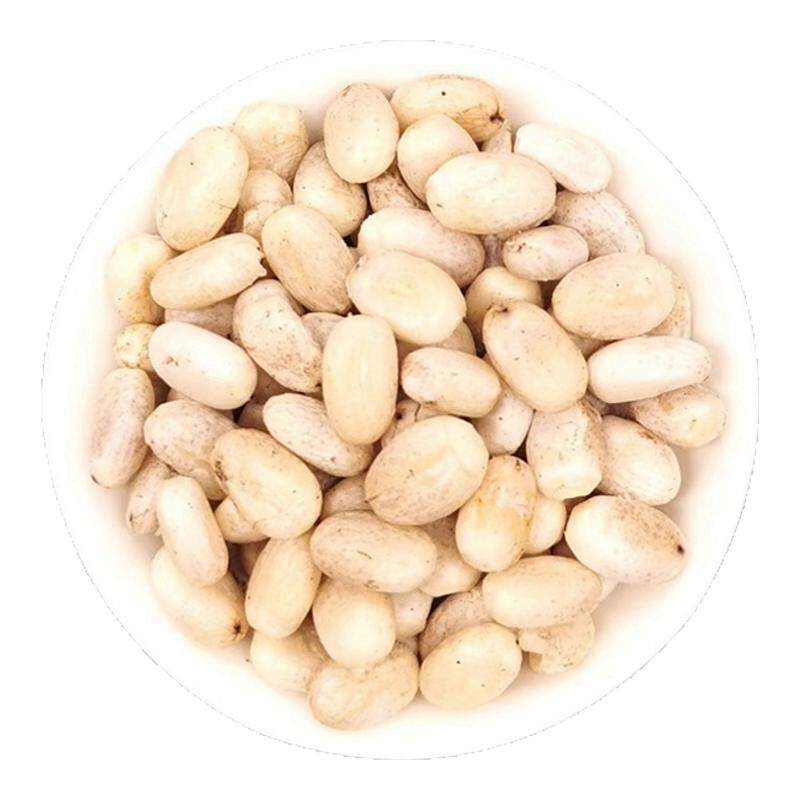 蓖麻子中药材粉生蓖麻籽种子冰麻子大颗粒野生红大麻子新鲜蓖麻仁