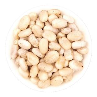 蓖麻子中药材粉生蓖麻籽种子冰麻子大颗粒野生红大麻子新鲜蓖麻仁