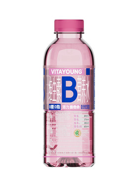 VITAYOUNG活力维他命维B水营养素水树莓味0脂肪饮料500ml*12瓶