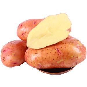 红皮大土豆中鲜生粉面香甜