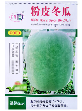 粉皮大冬瓜种子皮薄肉厚冬瓜种籽