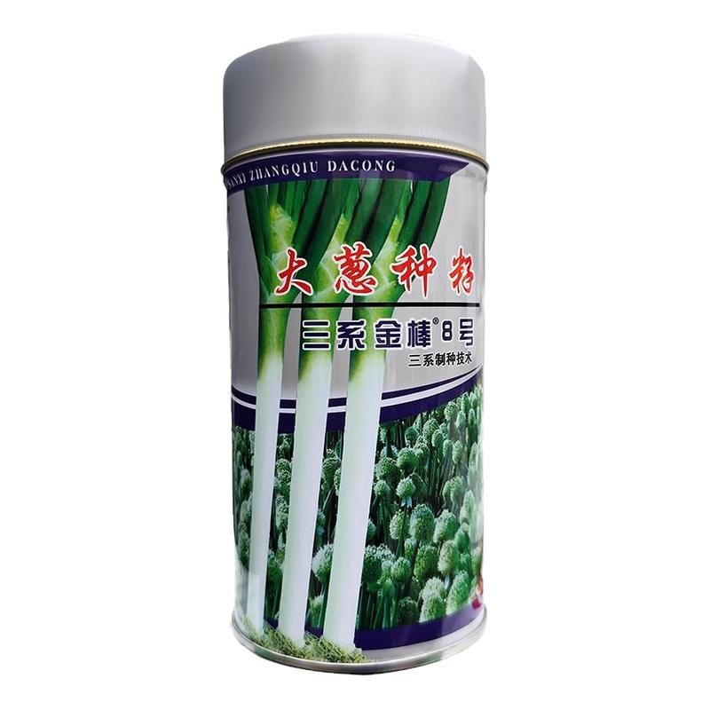 章丘占元大葱种子钢葱抗病耐抽薹