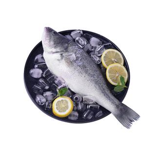 彩虹星球生态丨淡水加州鲈鱼2条装冰冻去鳃去鳞去内脏淡水鲈鱼