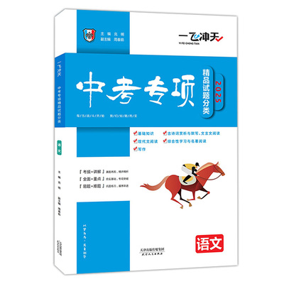一飞冲天中考专项精品试题强化练