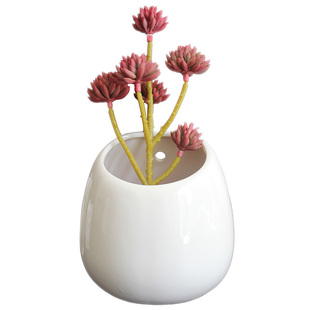 多肉壁挂盆吊篮垂吊悬挂花盆陶瓷吊兰挂墙室内创意水培水栽绿植盆