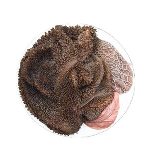 新鲜羊肚 生羊肚羊杂 山羊肚毛肚羊下水内脏另有羊肝肺心羊肉肠子