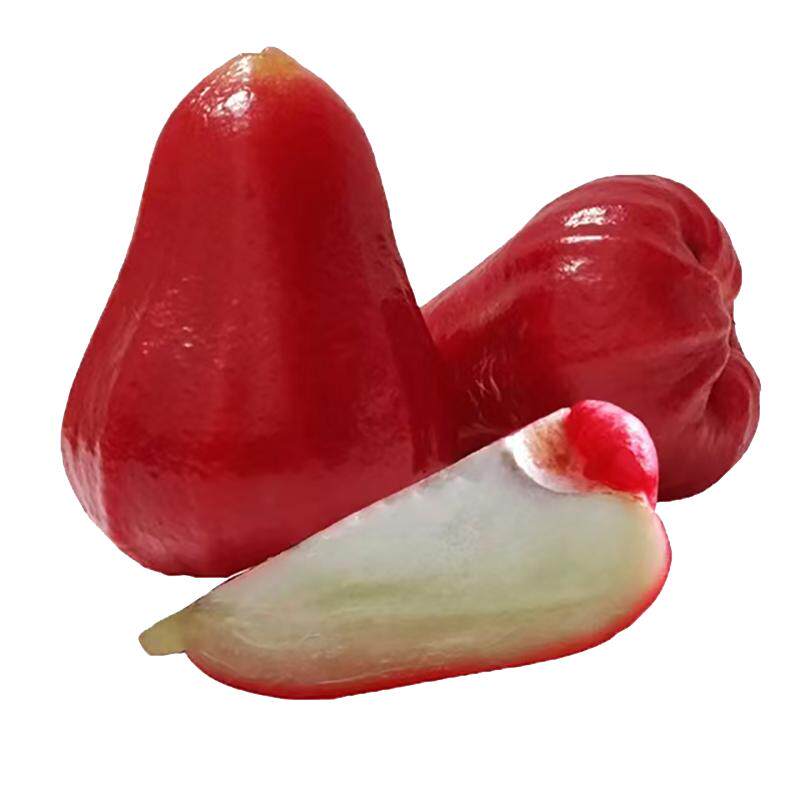 海南三亚黑金刚莲雾新鲜水果