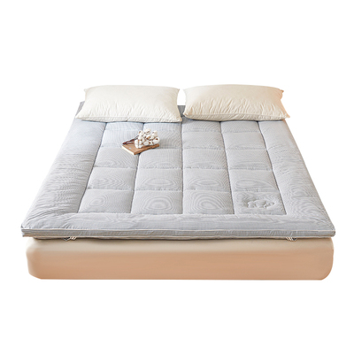 0甲醛无异味冬天家用加厚床垫褥