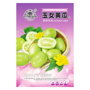 玉女水果黄瓜种子金童水果黄瓜籽菜园盆栽甜脆小黄瓜蔬菜种籽种子
