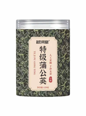 【销量No.I】特级野生蒲公英正品