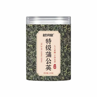 特级野生蒲公英正品中药材新鲜清去火疏官方旗舰店泡水喝降火茶叶